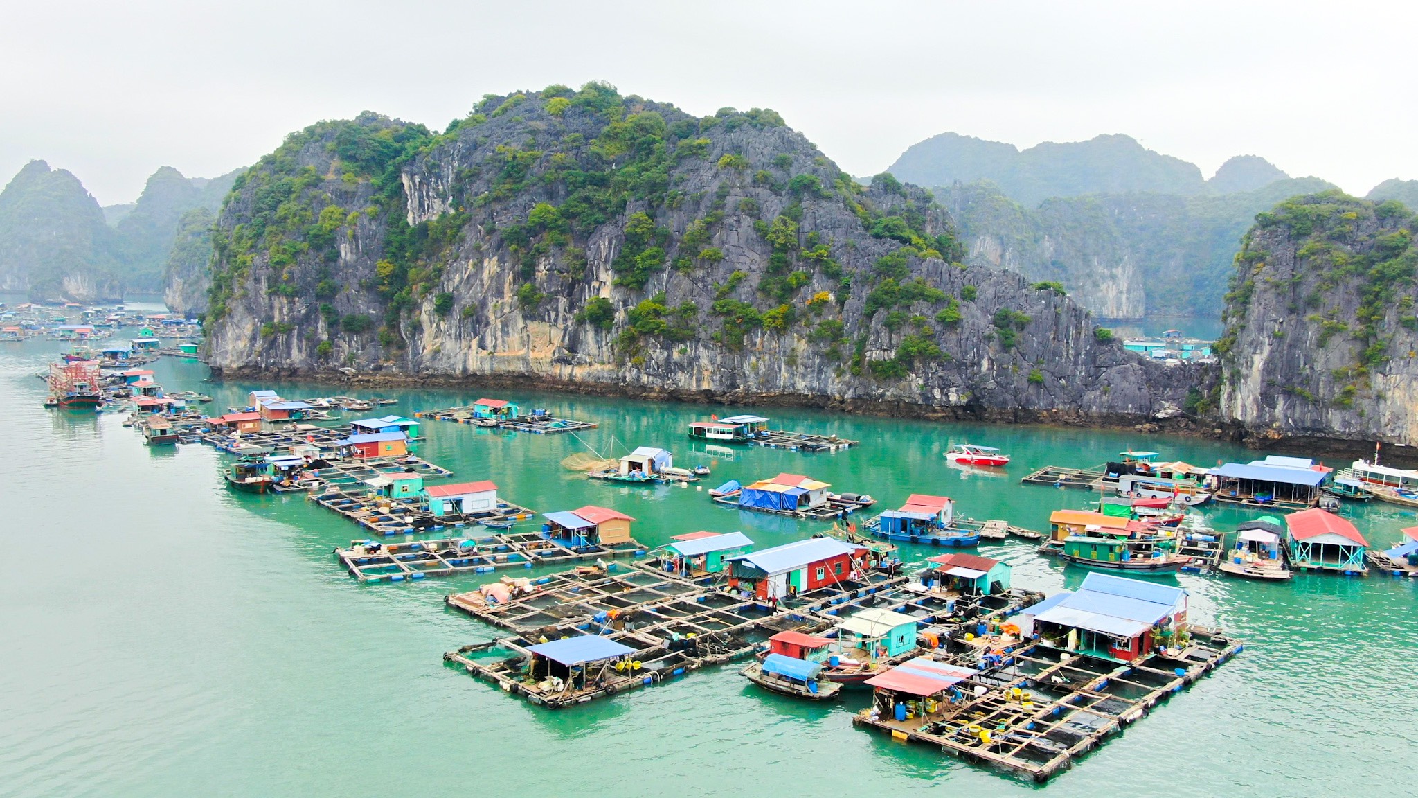 Cai Beo Floating Fishing Village