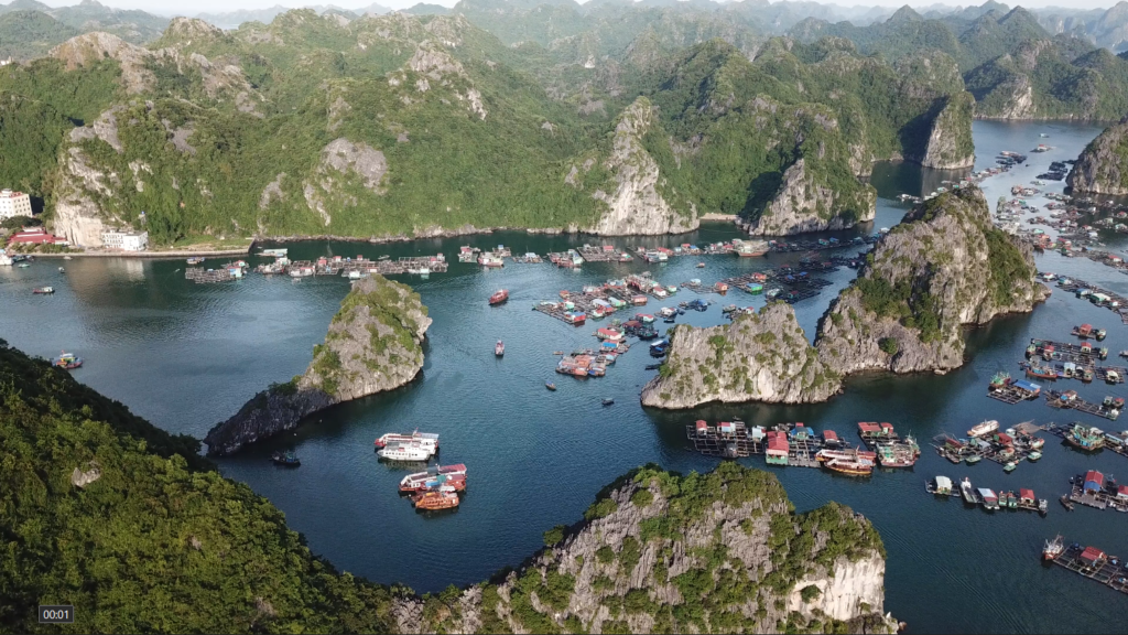 Cai Bao Panorama