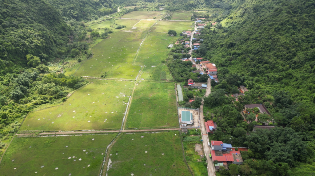 Viet Hai Village