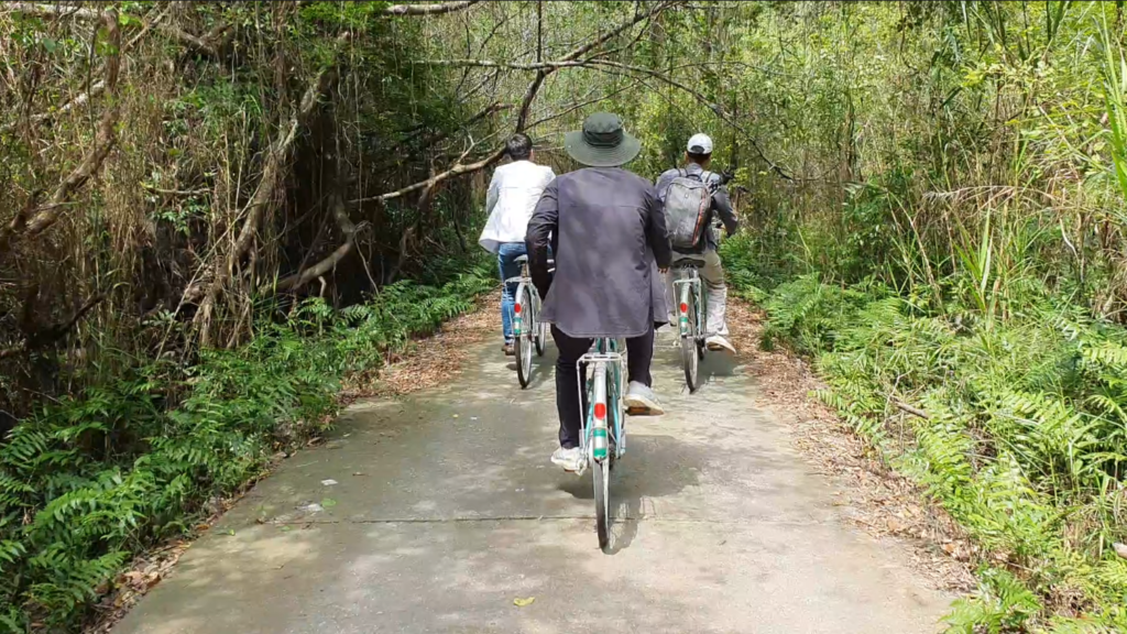 Cycling