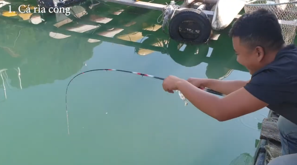 Fishing